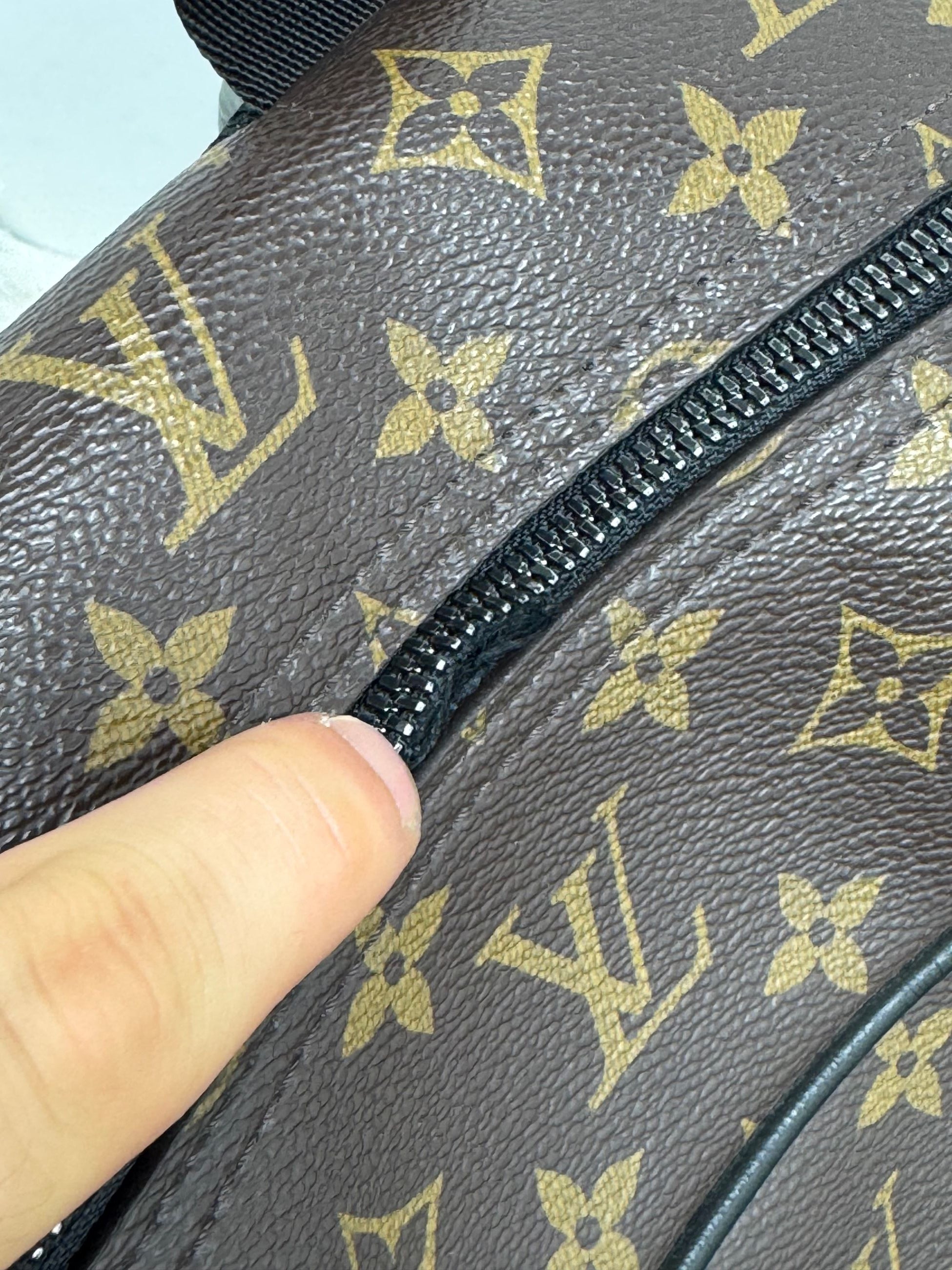 Zaino Louis Vuitton Dean Monogram Macassar