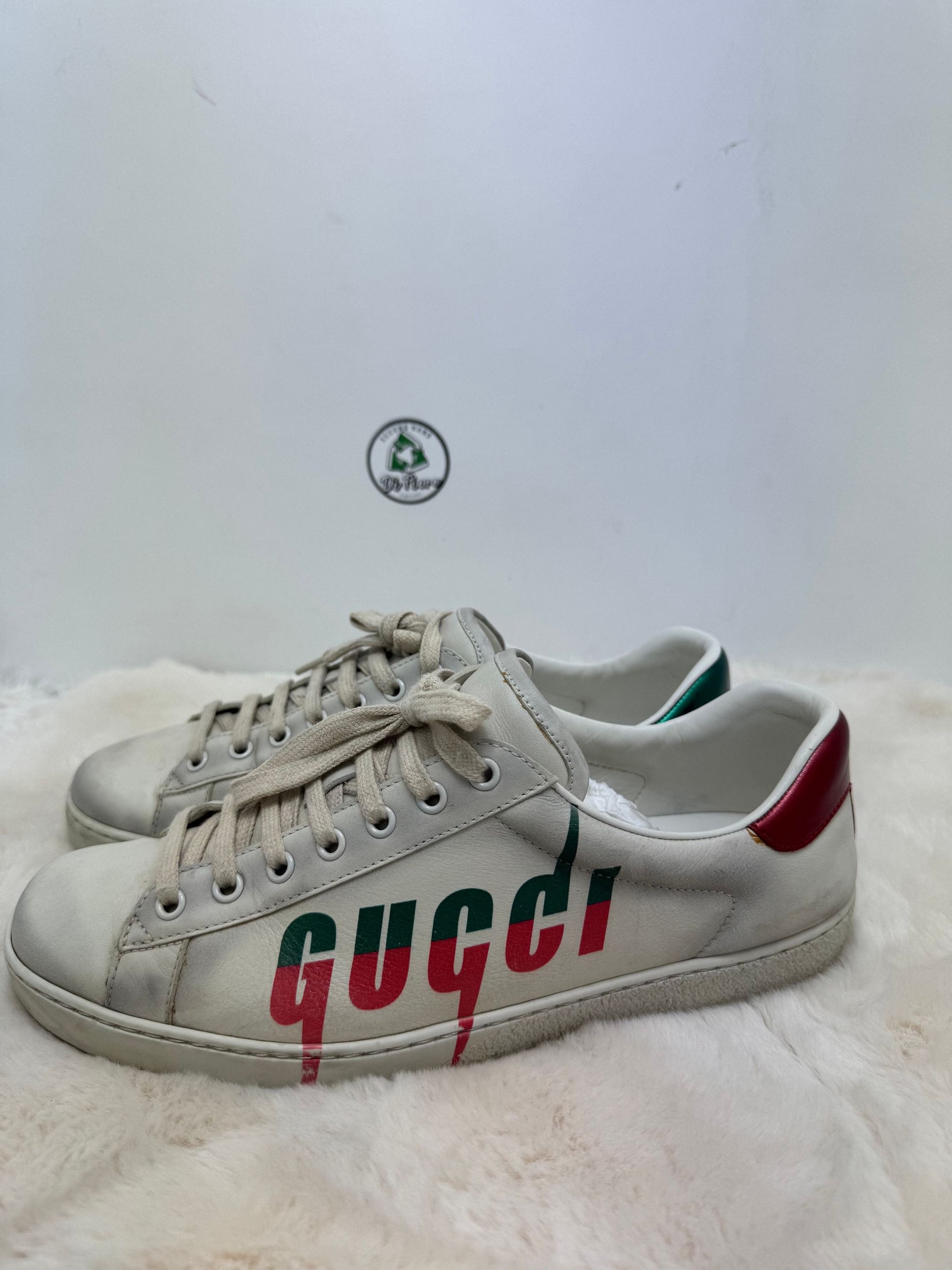 Scarpa Gucci Ace