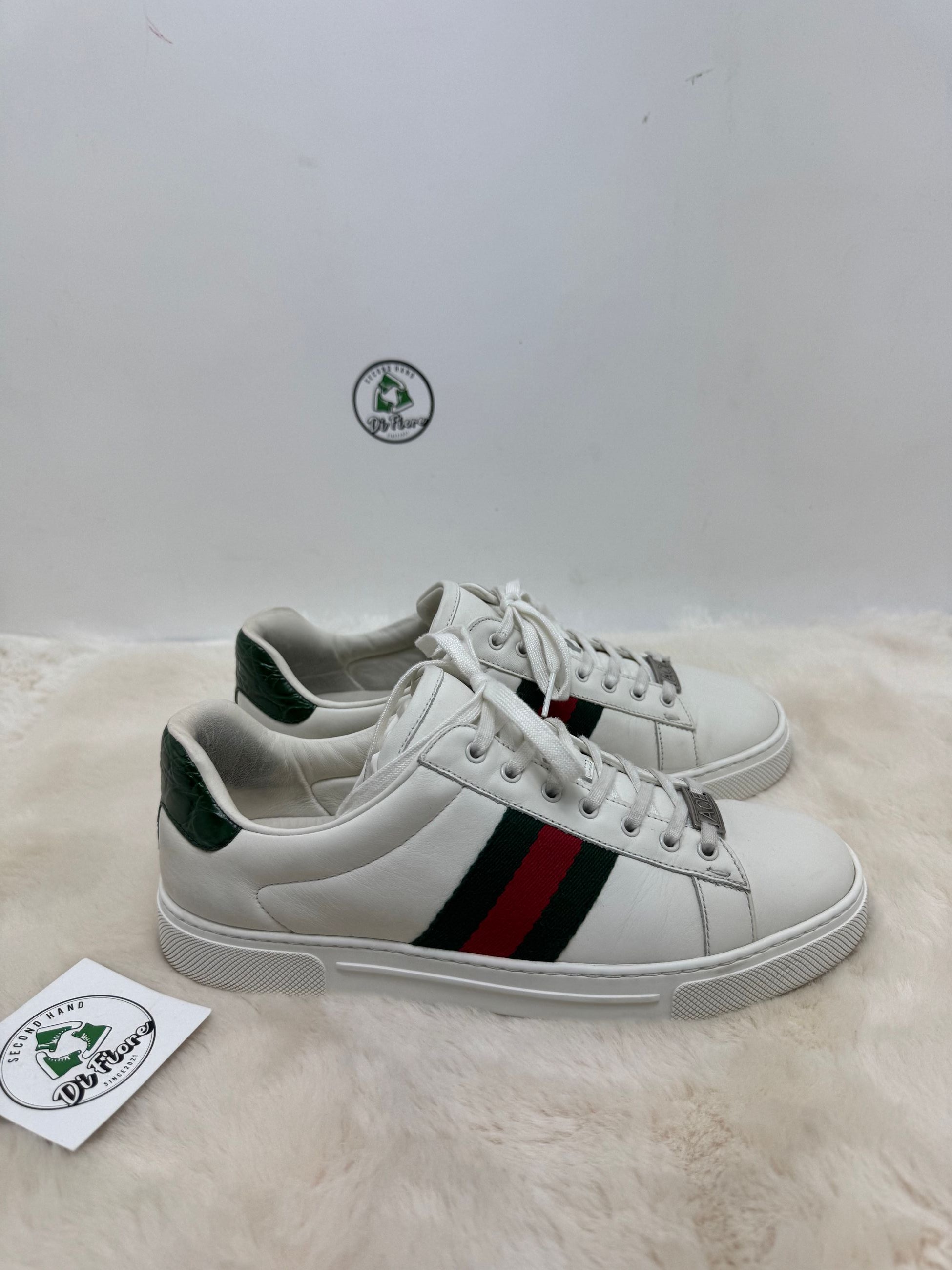 Scarpa Gucci ace