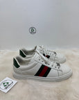 Scarpa Gucci ace
