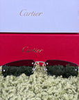 Occhiali Cartier 4754195 viola e neri