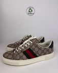 Gucci ace