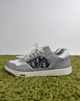 Christian Dior B27 Grigia 43