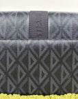 Borsello Christian Dior hit the road in tela CD