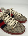 Sneaker Gucci Ace Supreme