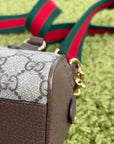 Borsa Gucci marrone beige e marrone