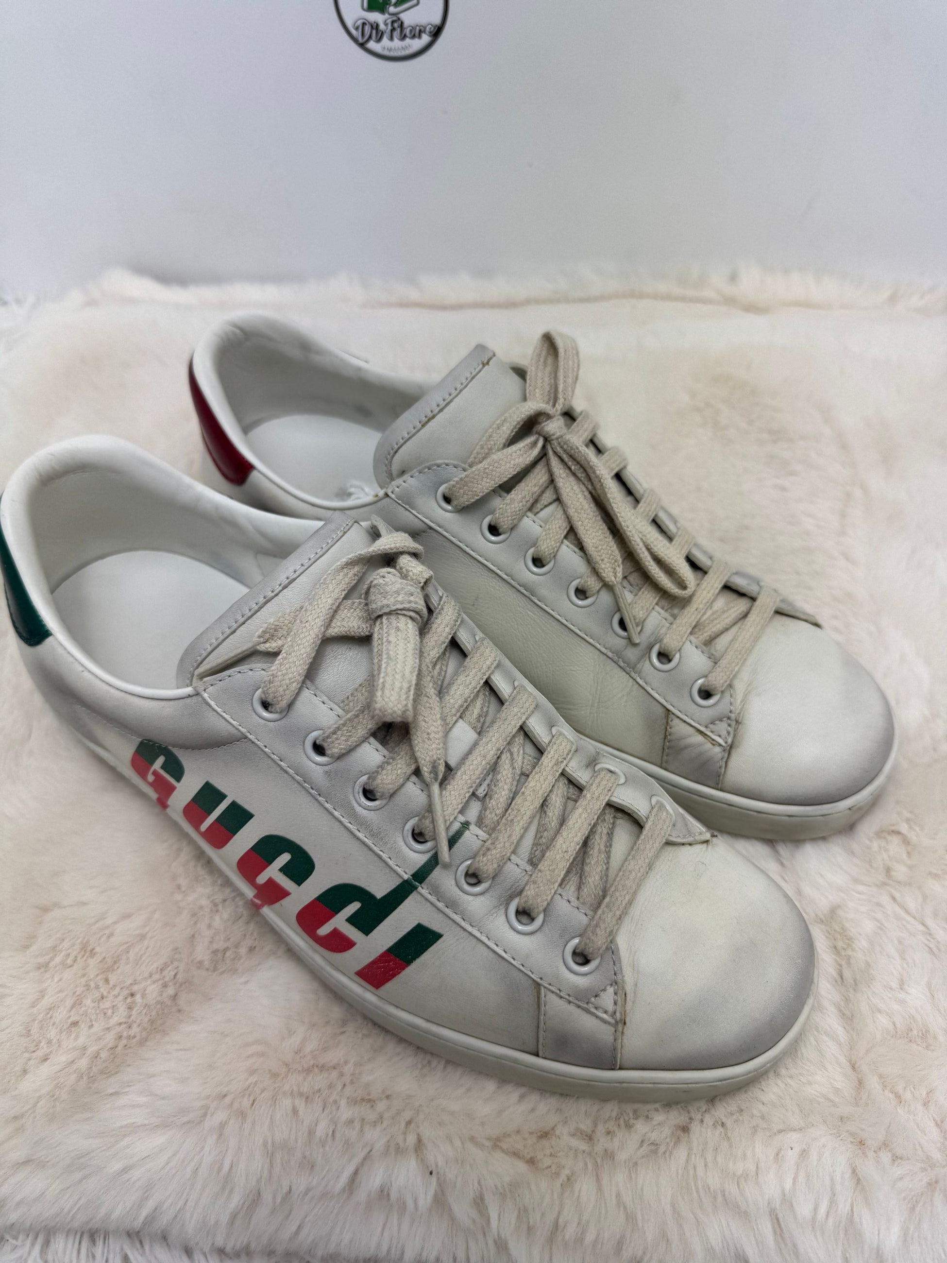 Scarpa Gucci Ace