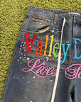 Jeans Valley dreams in Denim Multicolor 30