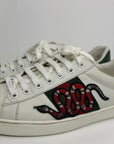 Gucci ace con serpente