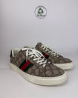 Gucci ace