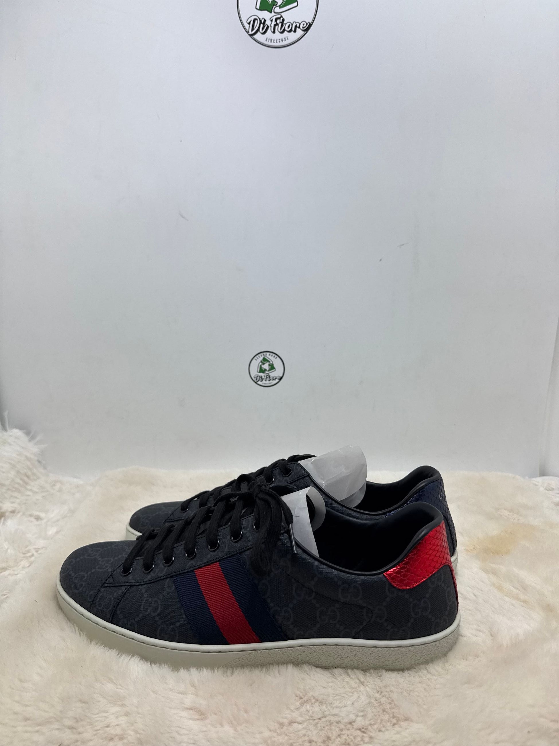 Scarpe Gucci