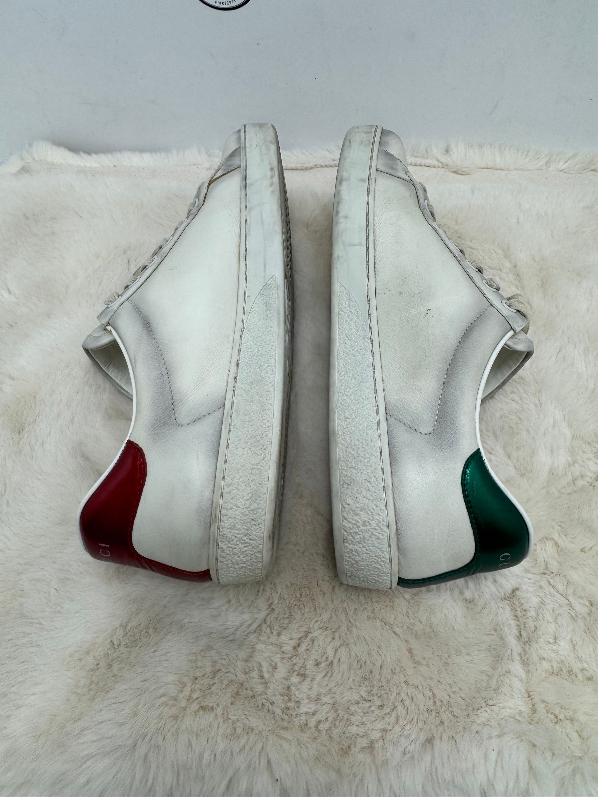 Scarpa Gucci Ace