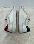 Scarpa Gucci Ace