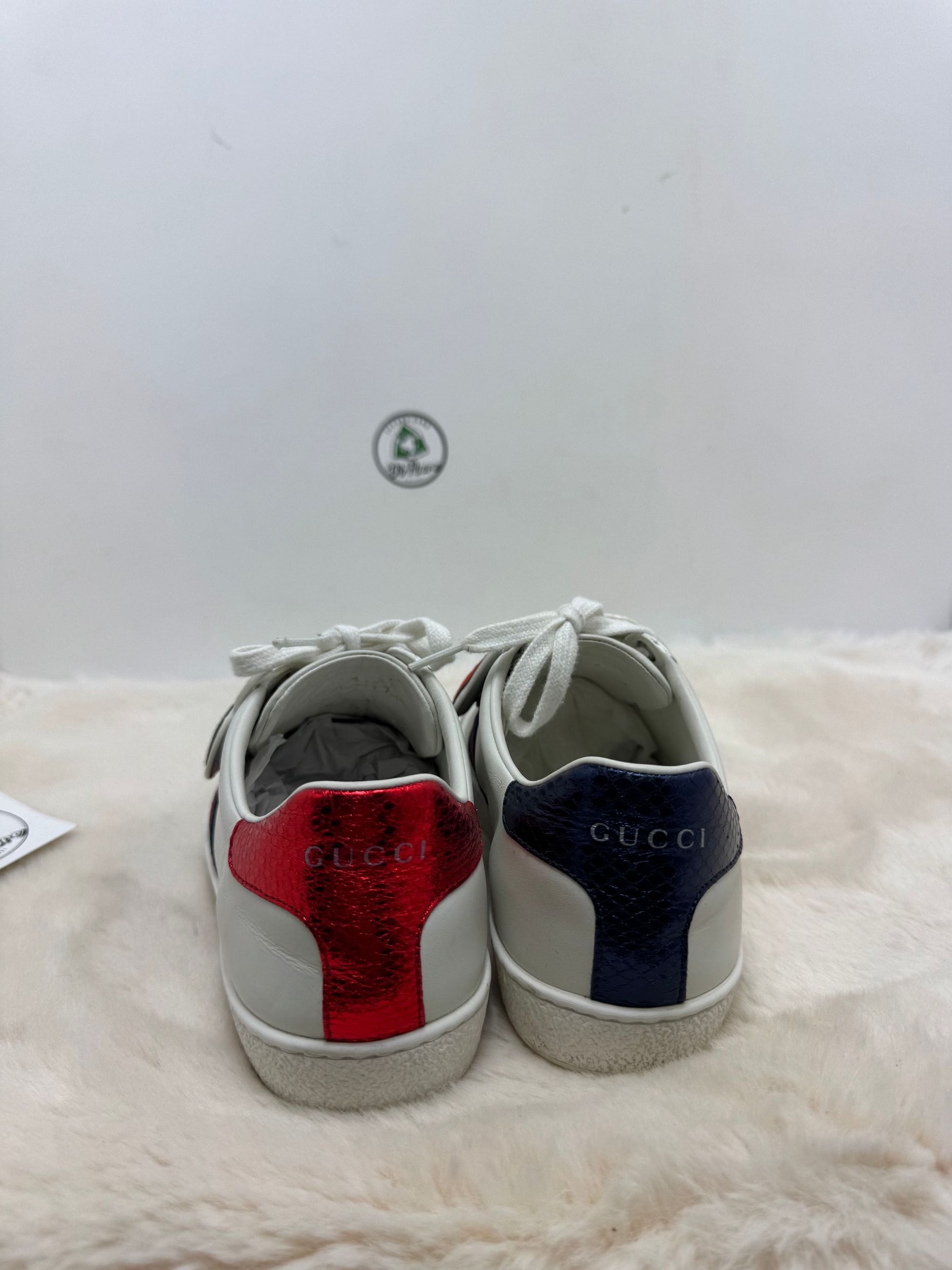 Scarpa Gucci