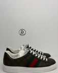 Gucci ace Size 6 verde