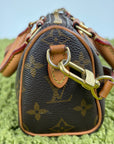 Borsa Louis Vuitton Nano Speedy Marrone