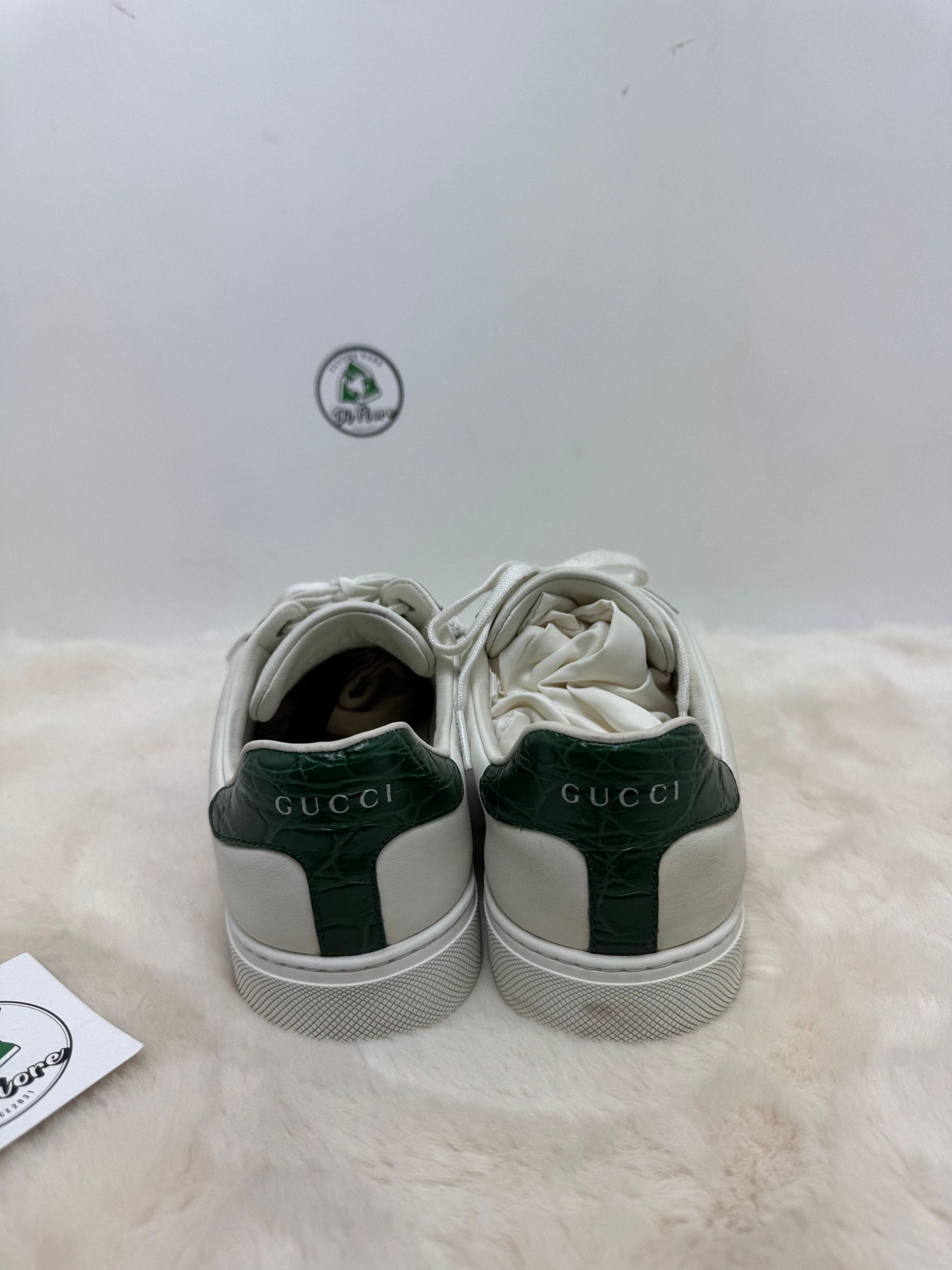 Scarpa Gucci ace