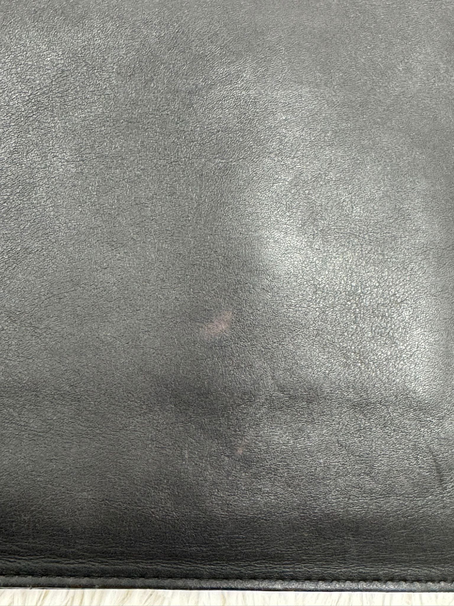 Pochette Zanotti