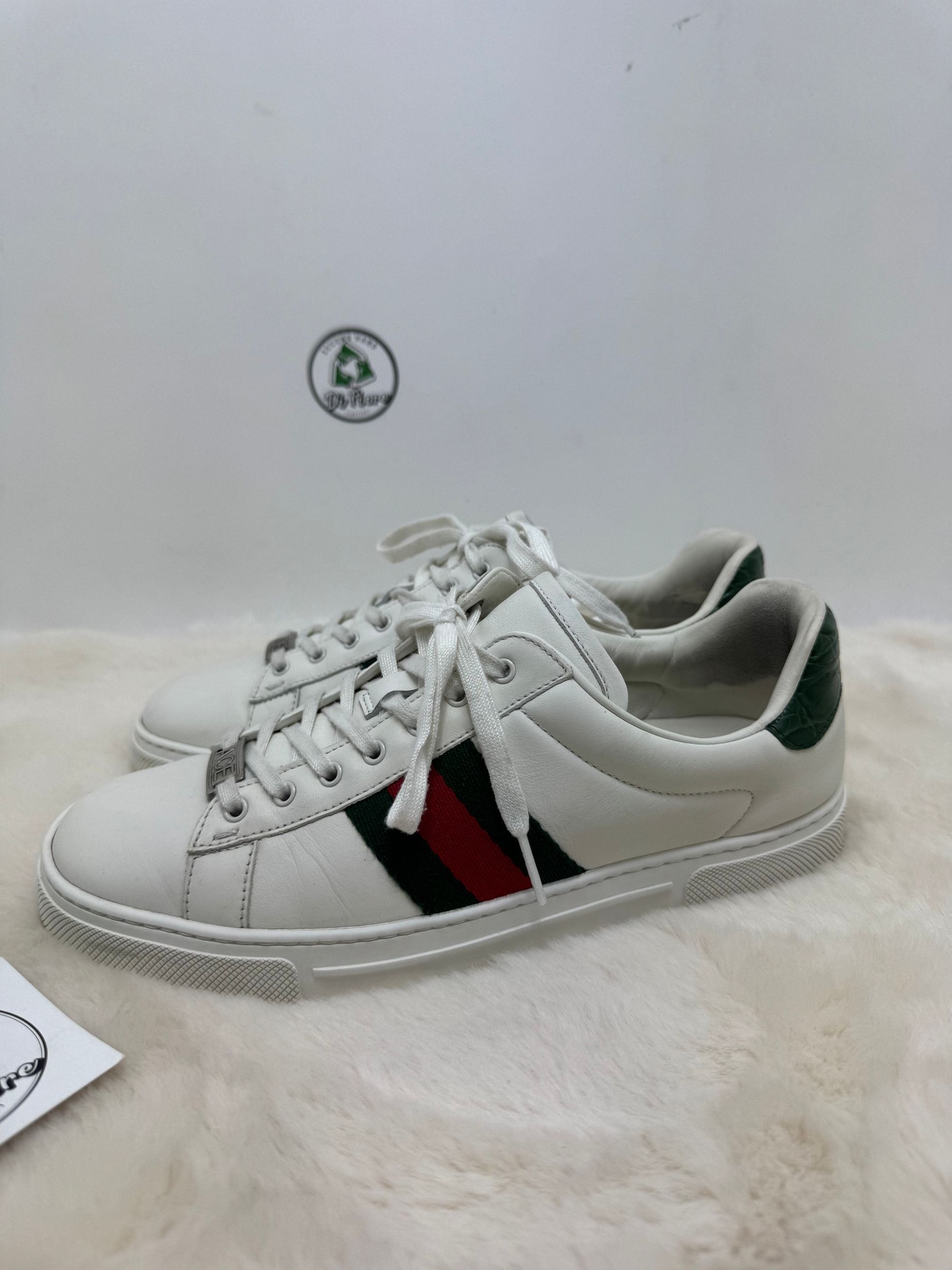 Scarpa Gucci ace