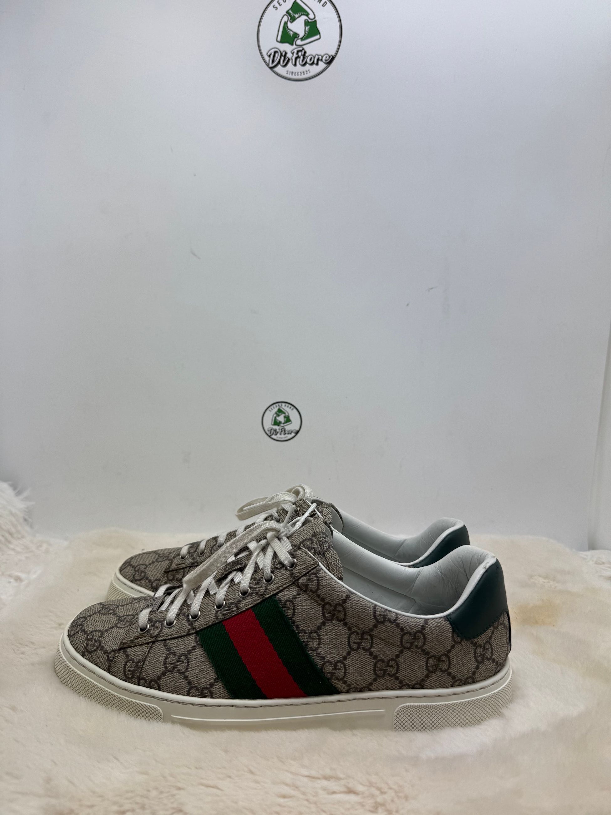 Scarpe Gucci
