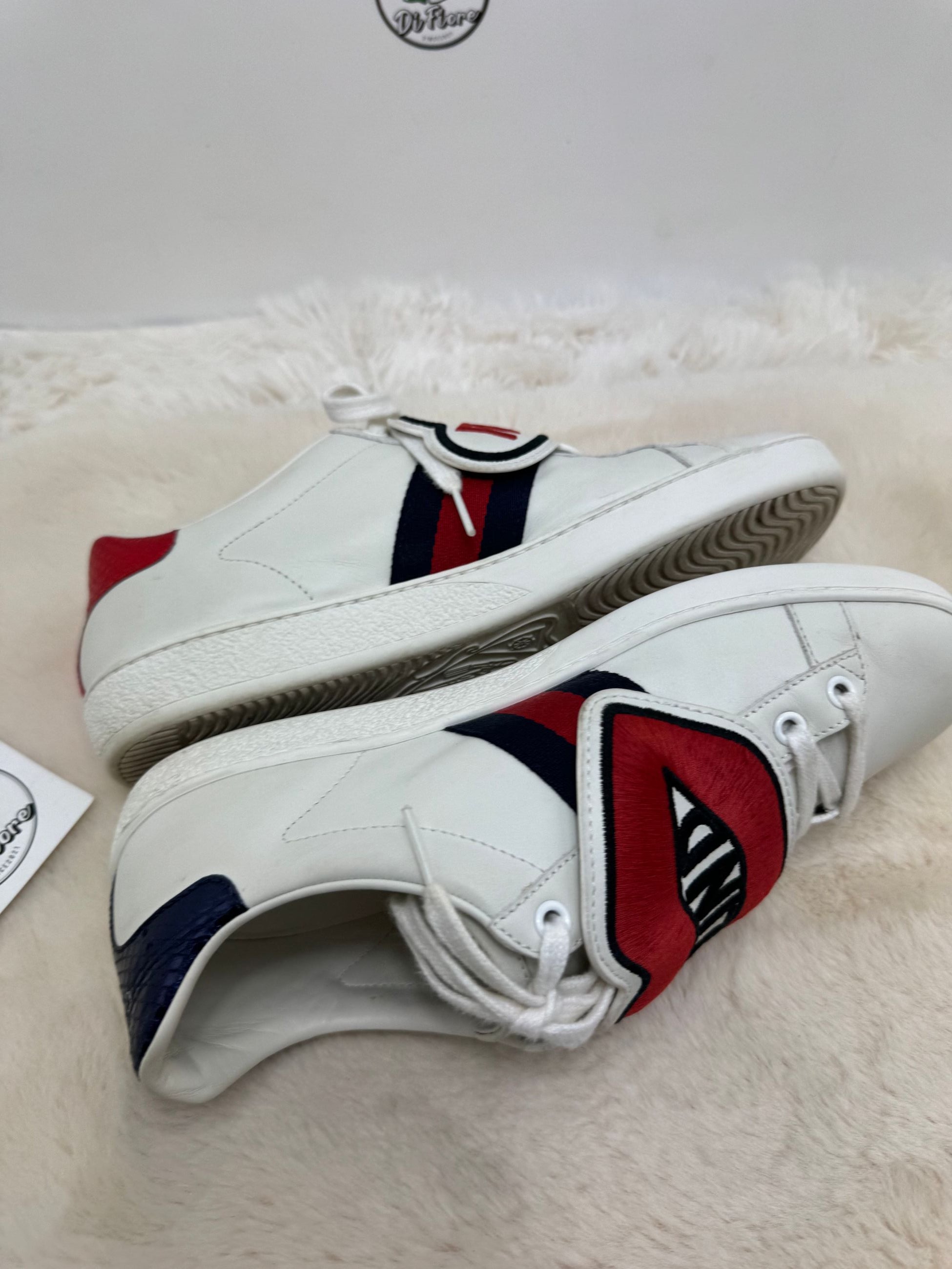 Scarpa Gucci