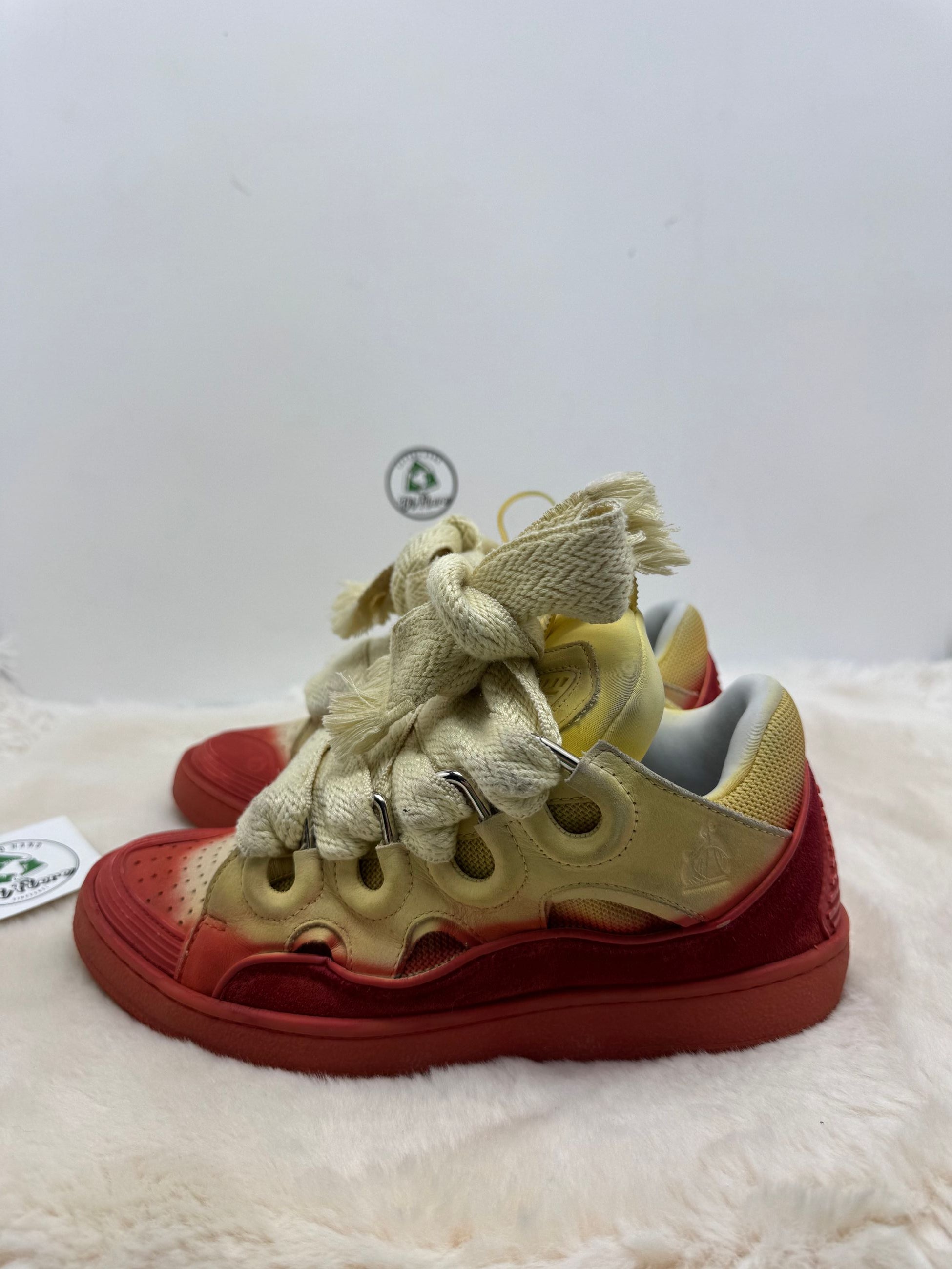 Scarpa Lanvin
