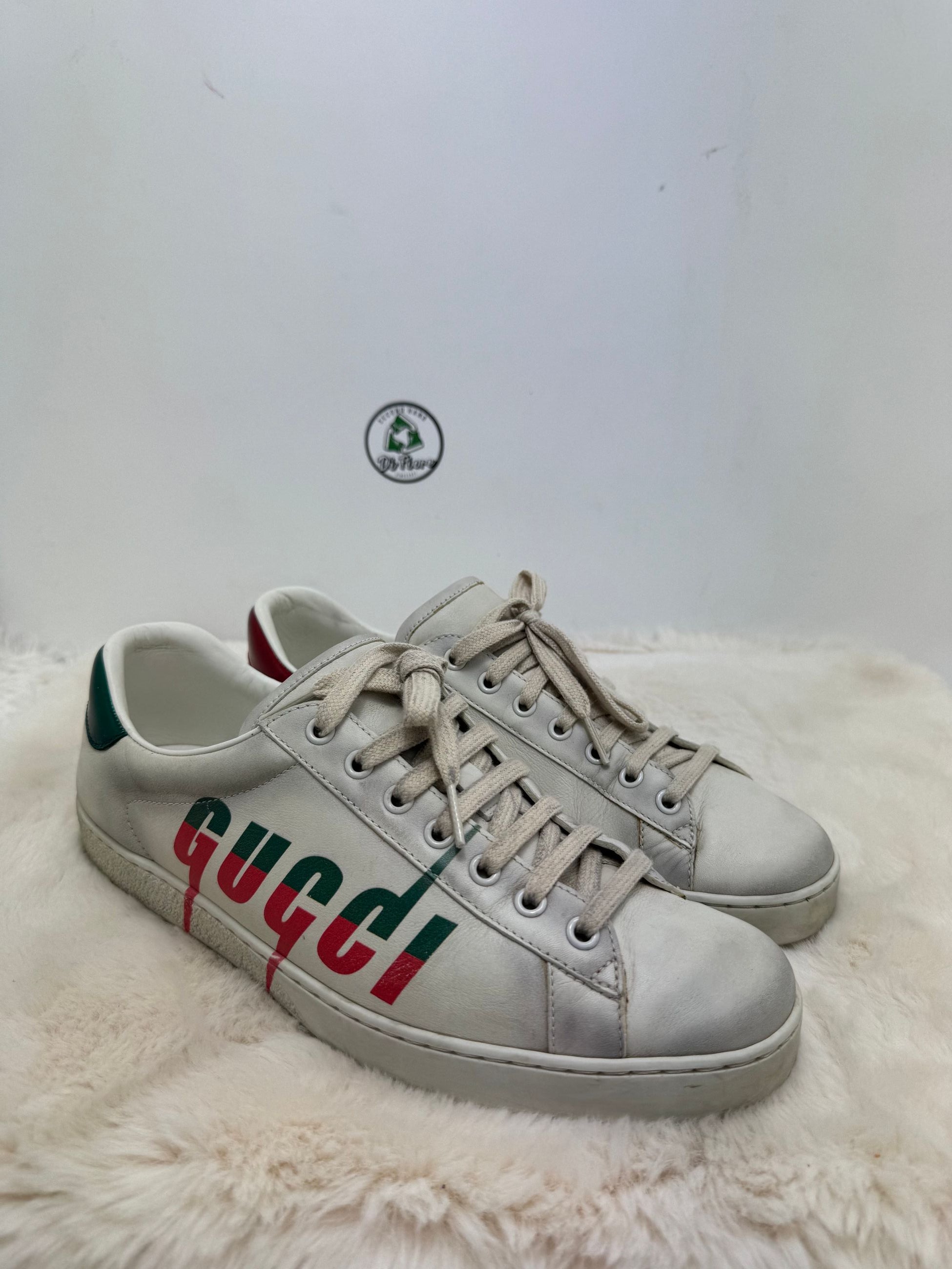 Scarpa Gucci Ace