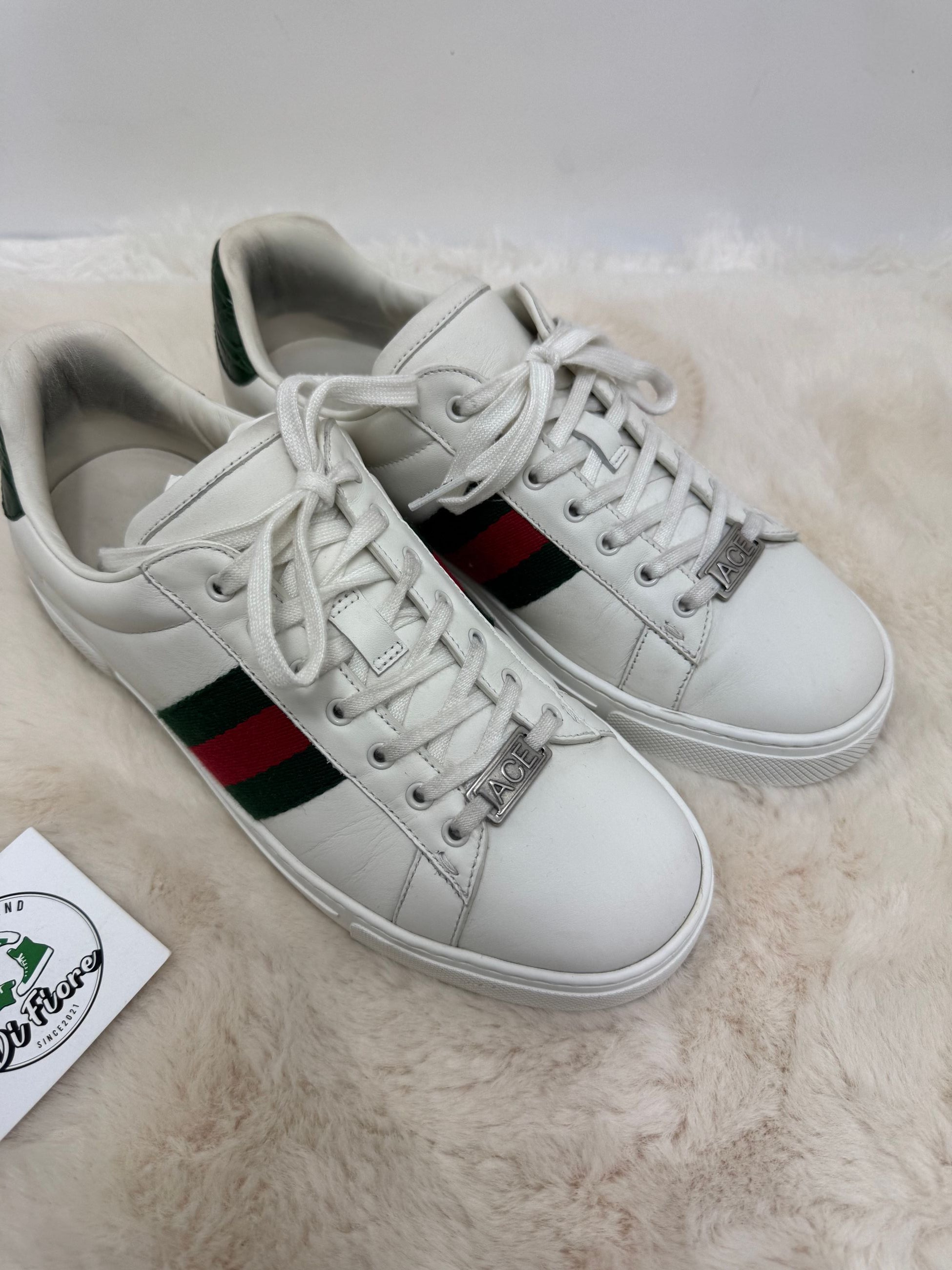 Scarpa Gucci ace
