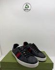 Gucci ace 41.5/42