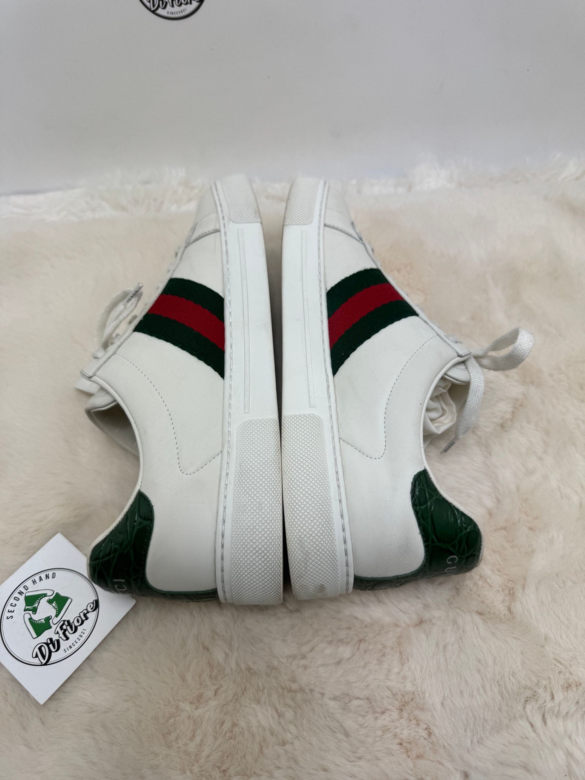 Scarpa Gucci ace