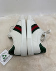 Scarpa Gucci ace