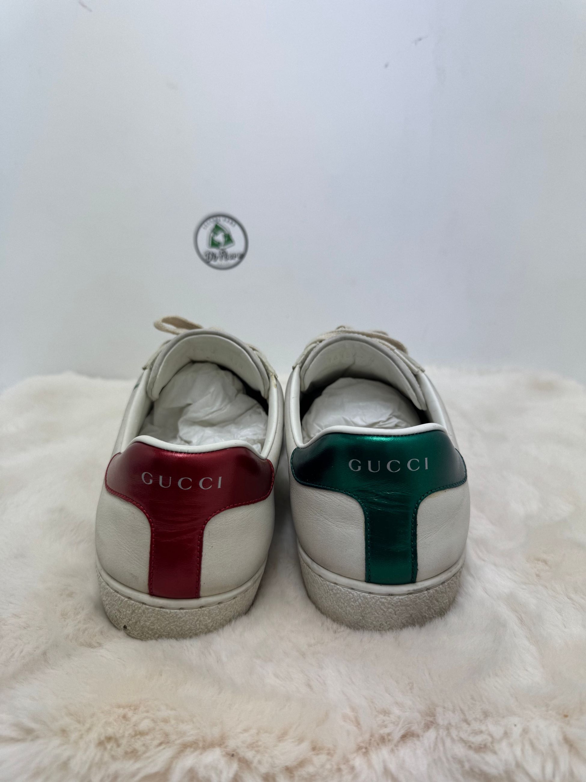 Scarpa Gucci Ace