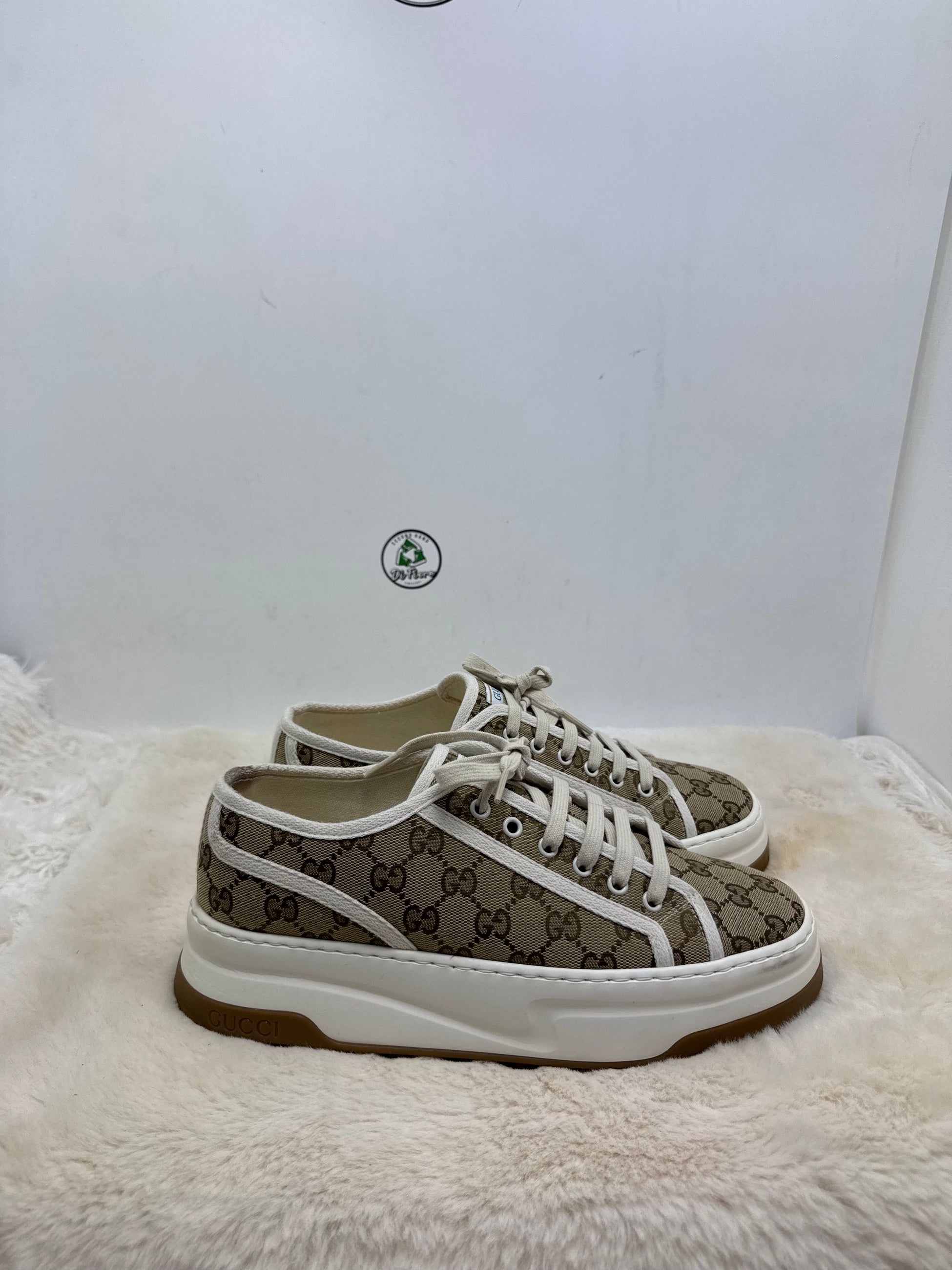 Scarpa Gucci
