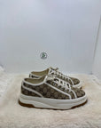 Scarpa Gucci