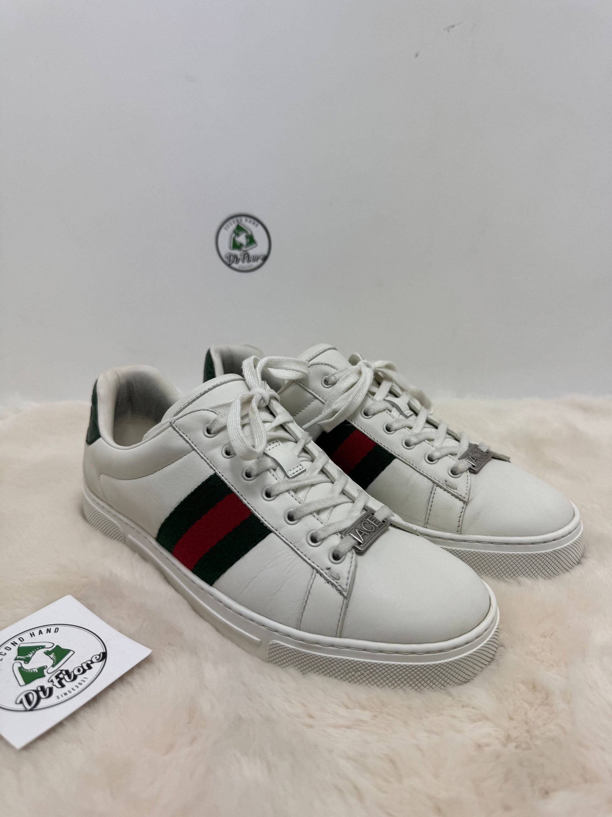 Scarpa Gucci ace