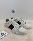 Scarpa Gucci ace