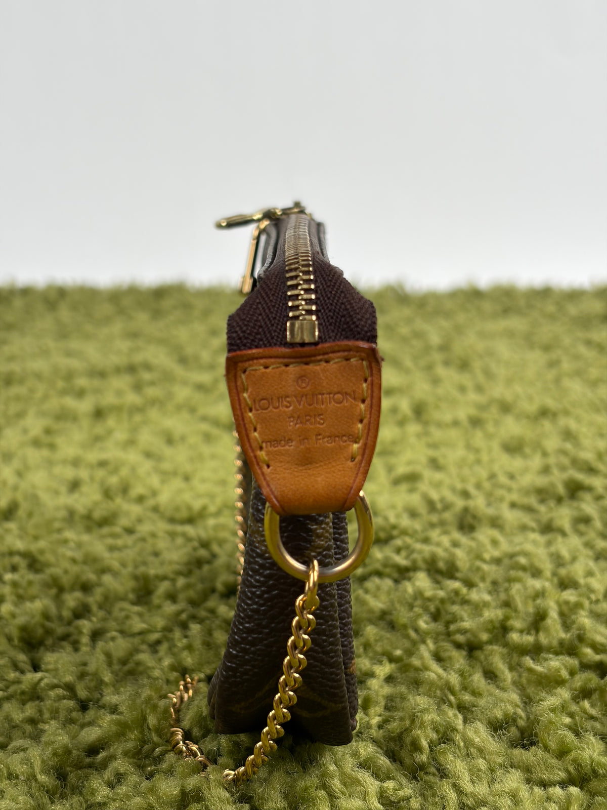 Mini Borsa Louis Vuitton Marrone