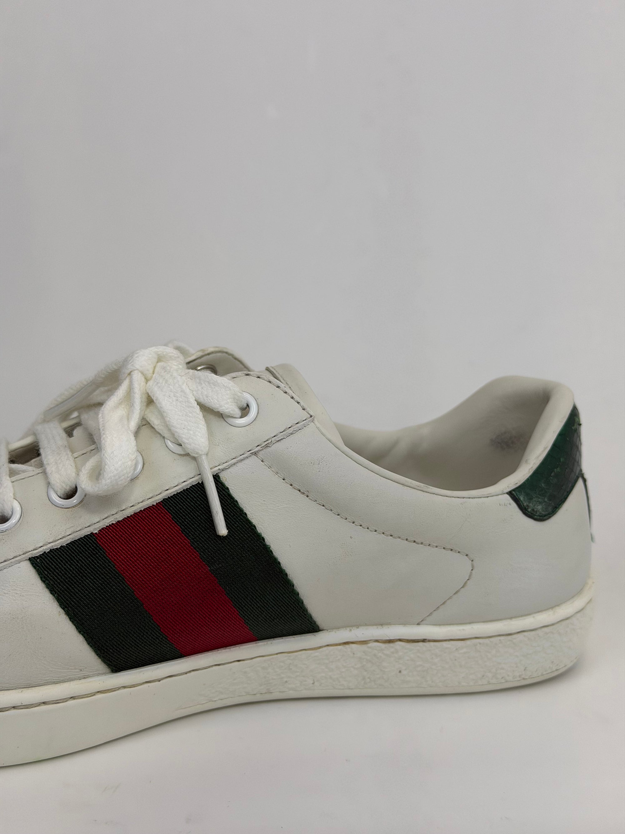 Gucci ace con serpente