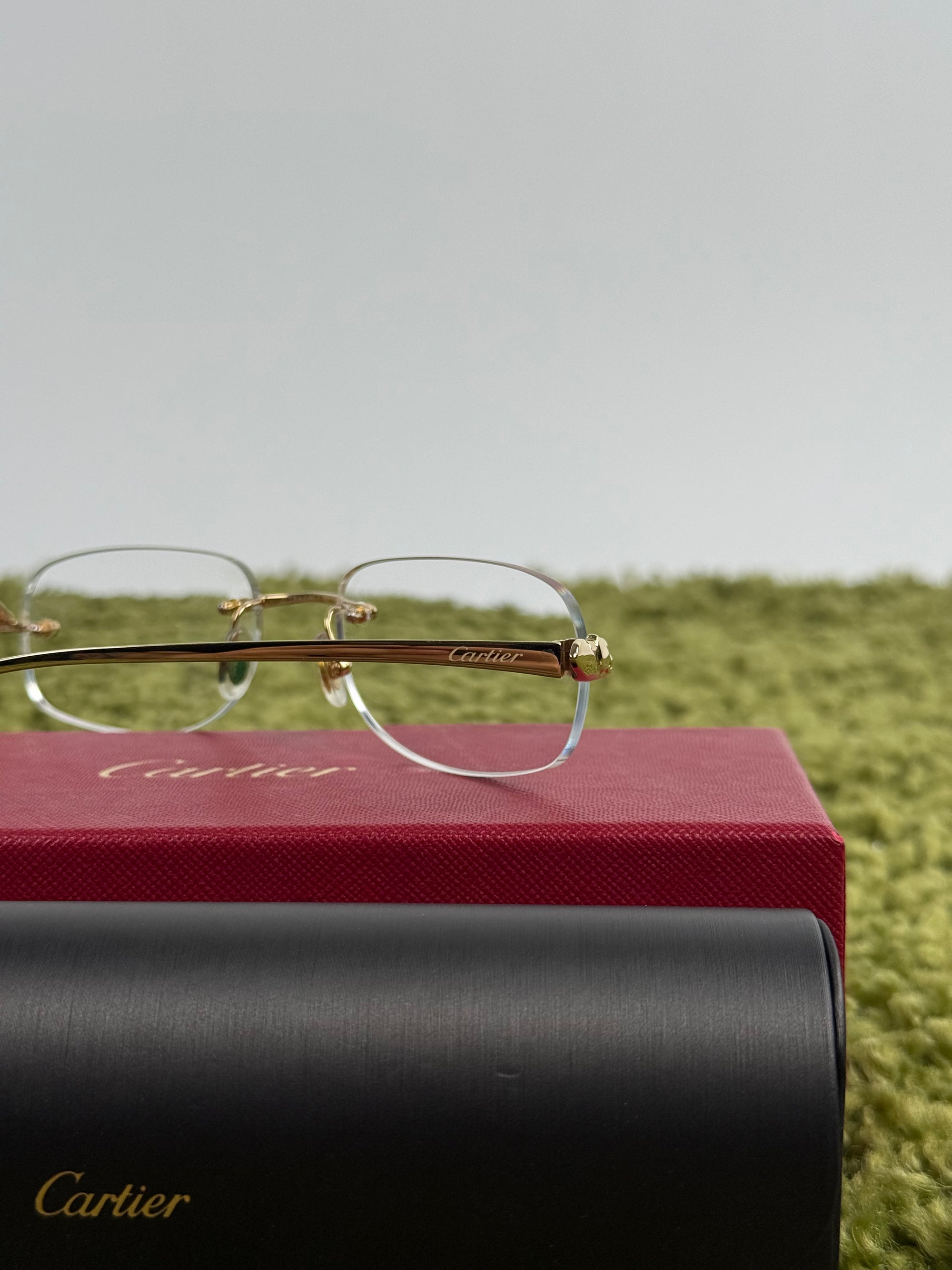 Occhiali Cartier Con Lenti Graduate da sostituire
