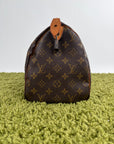 Borsa Louis Vuitton Speedy Marrone