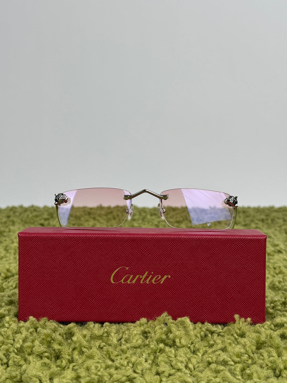 Cartier Panthère de cartier con aste argento