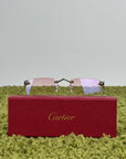 Cartier Panthère de cartier con aste argento