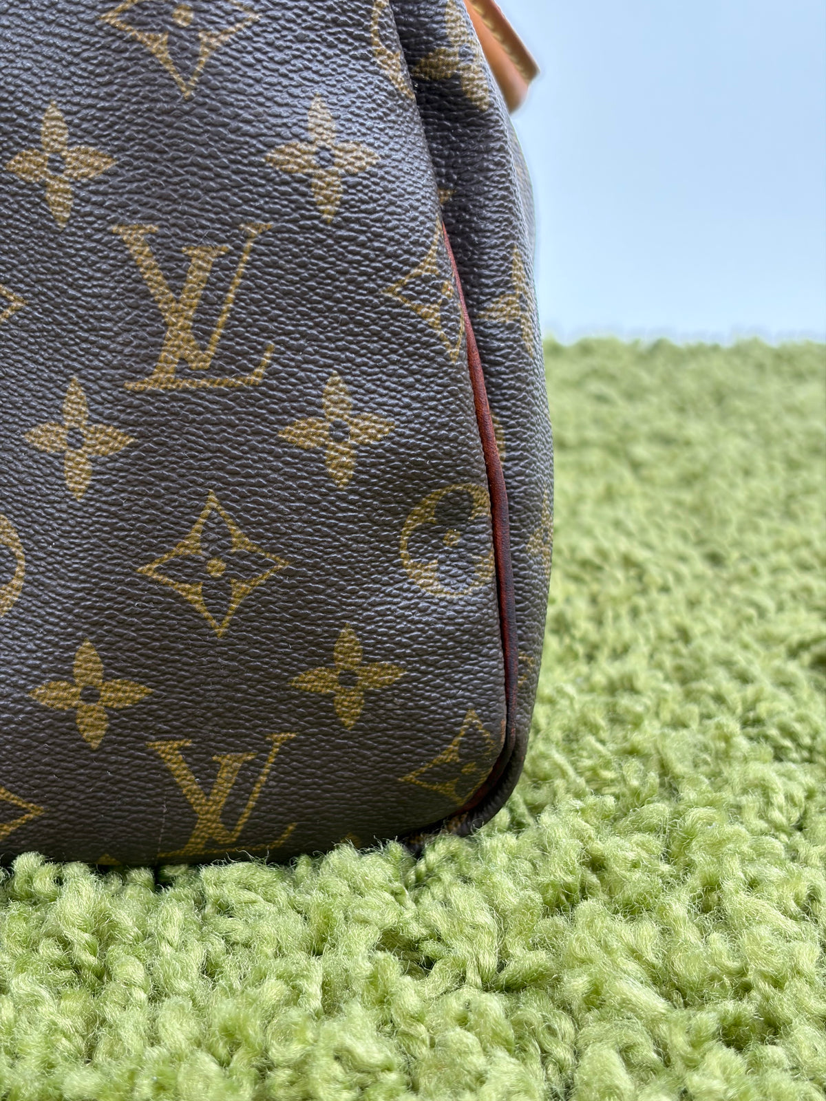 Borsa Louis Vuitton Speedy Marrone