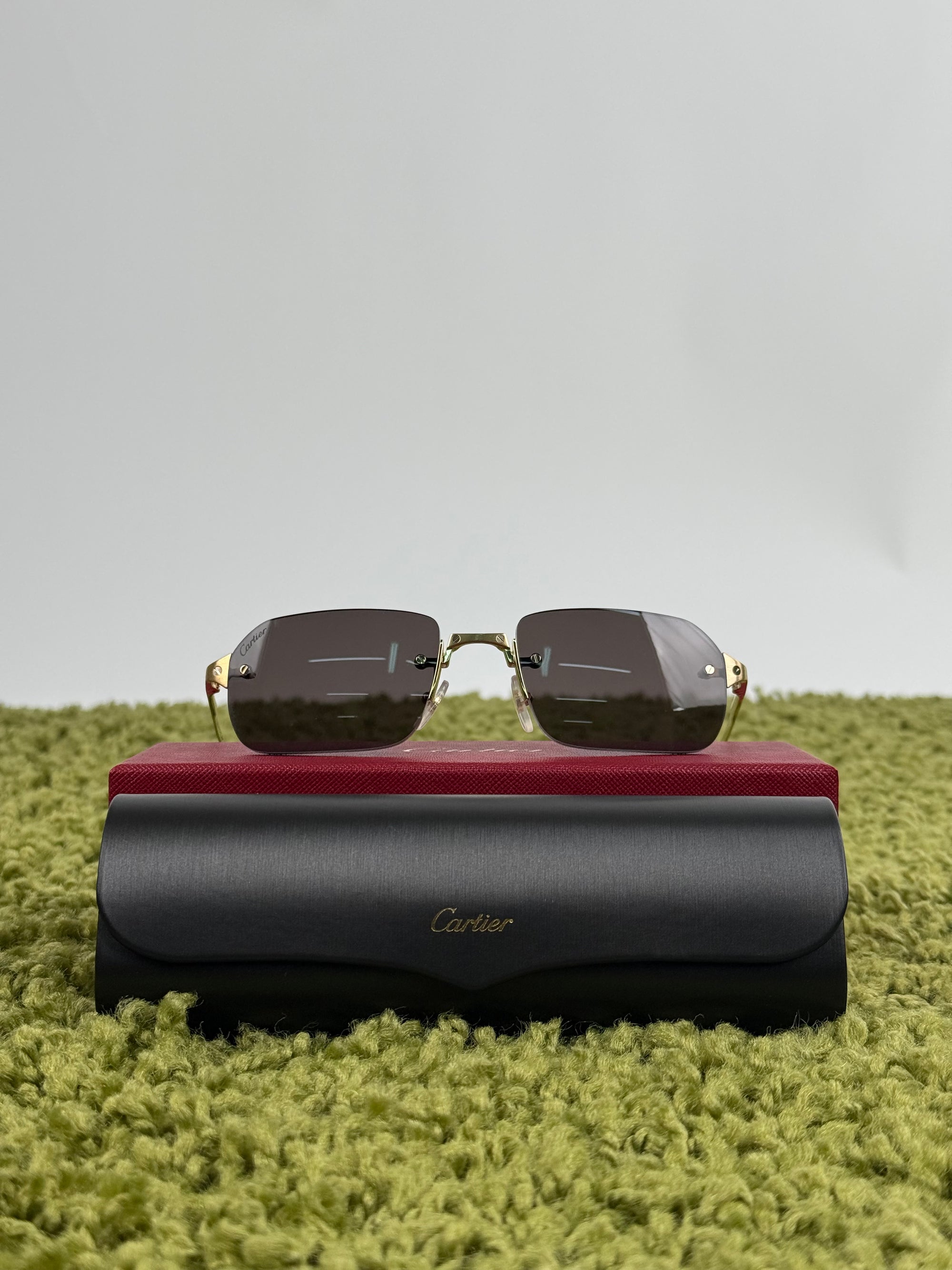 Occhiali Cartier Santos de Cartier