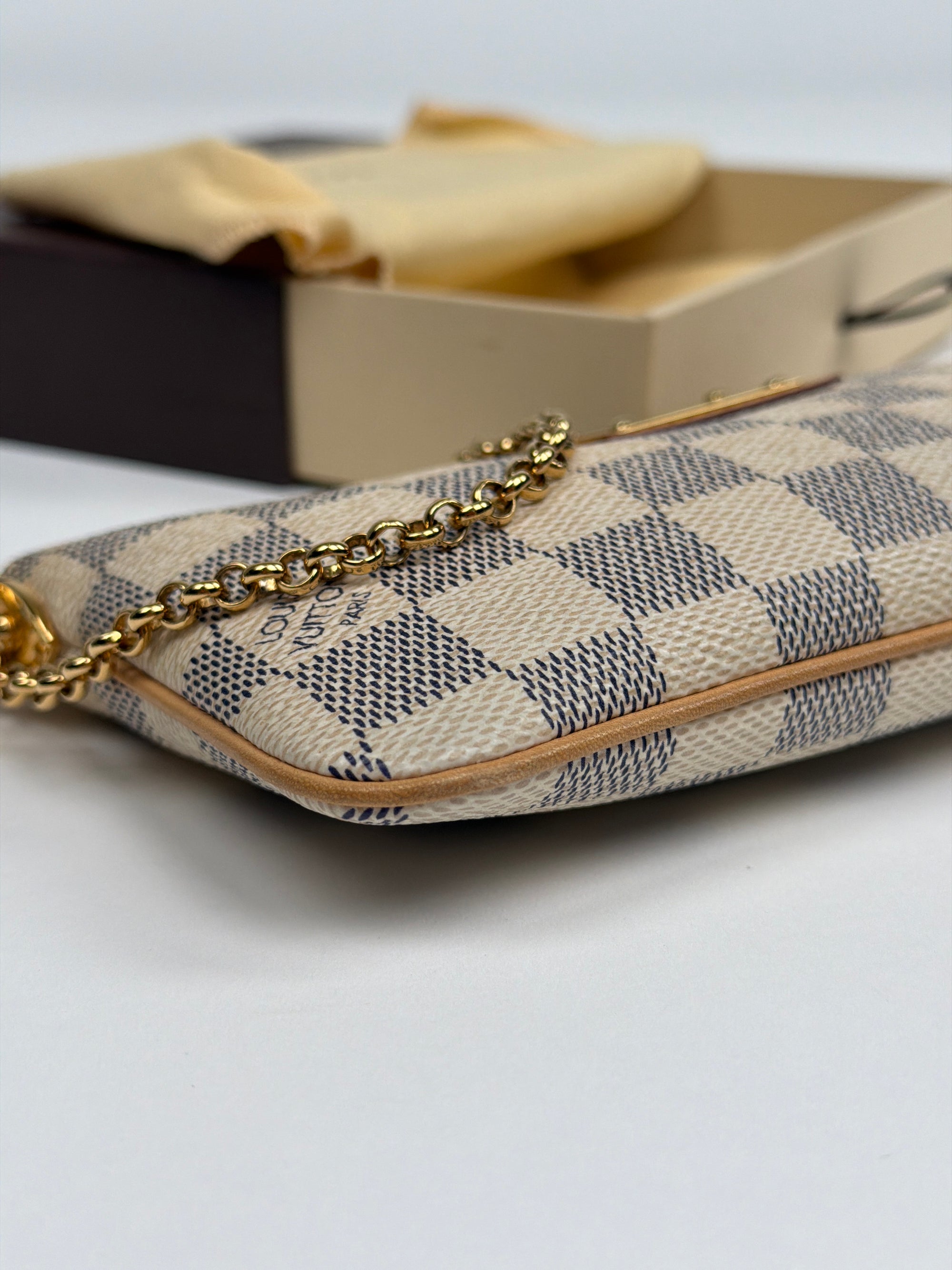 Louis Vuitton Eva