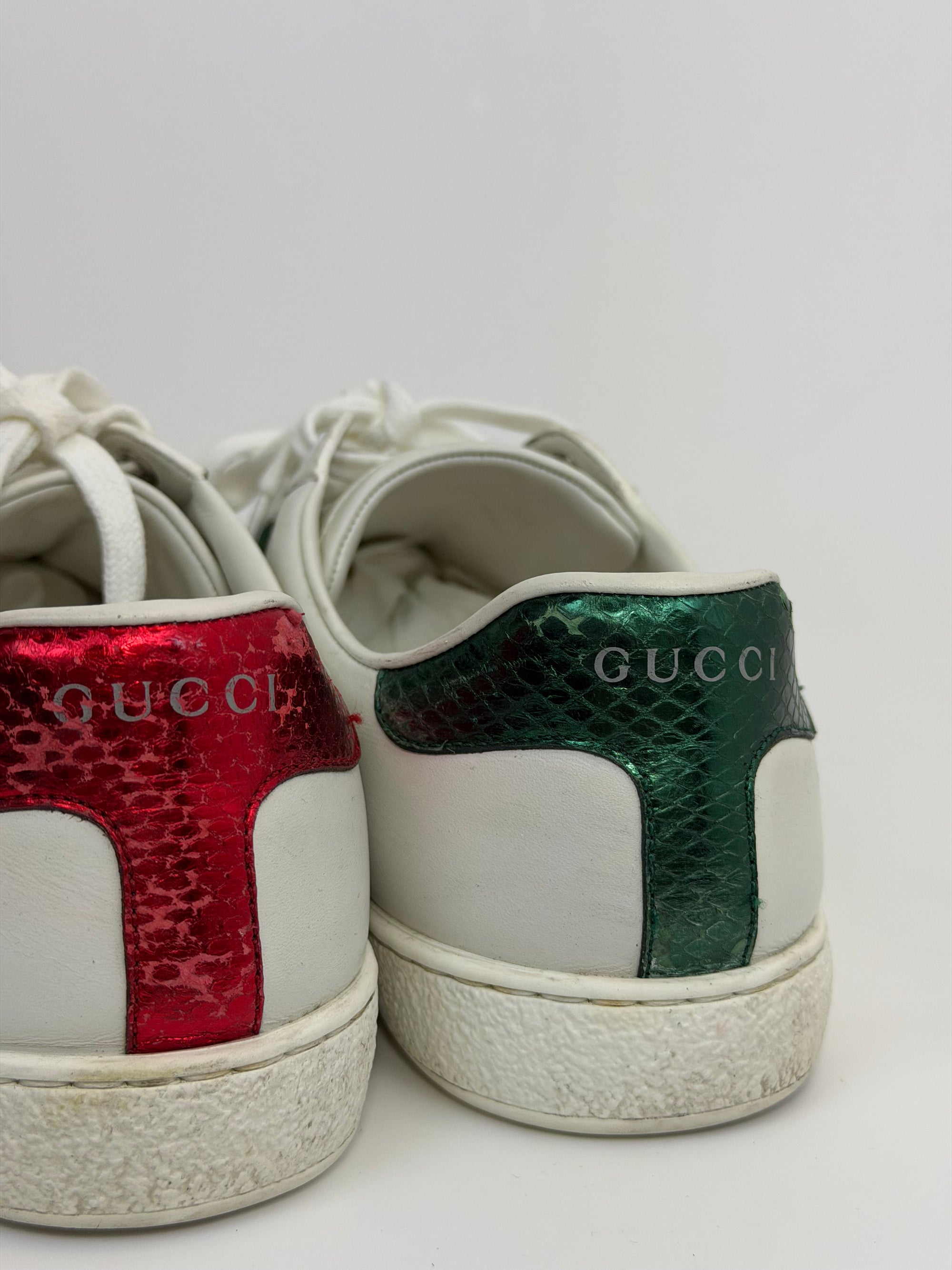 Gucci ace con serpente