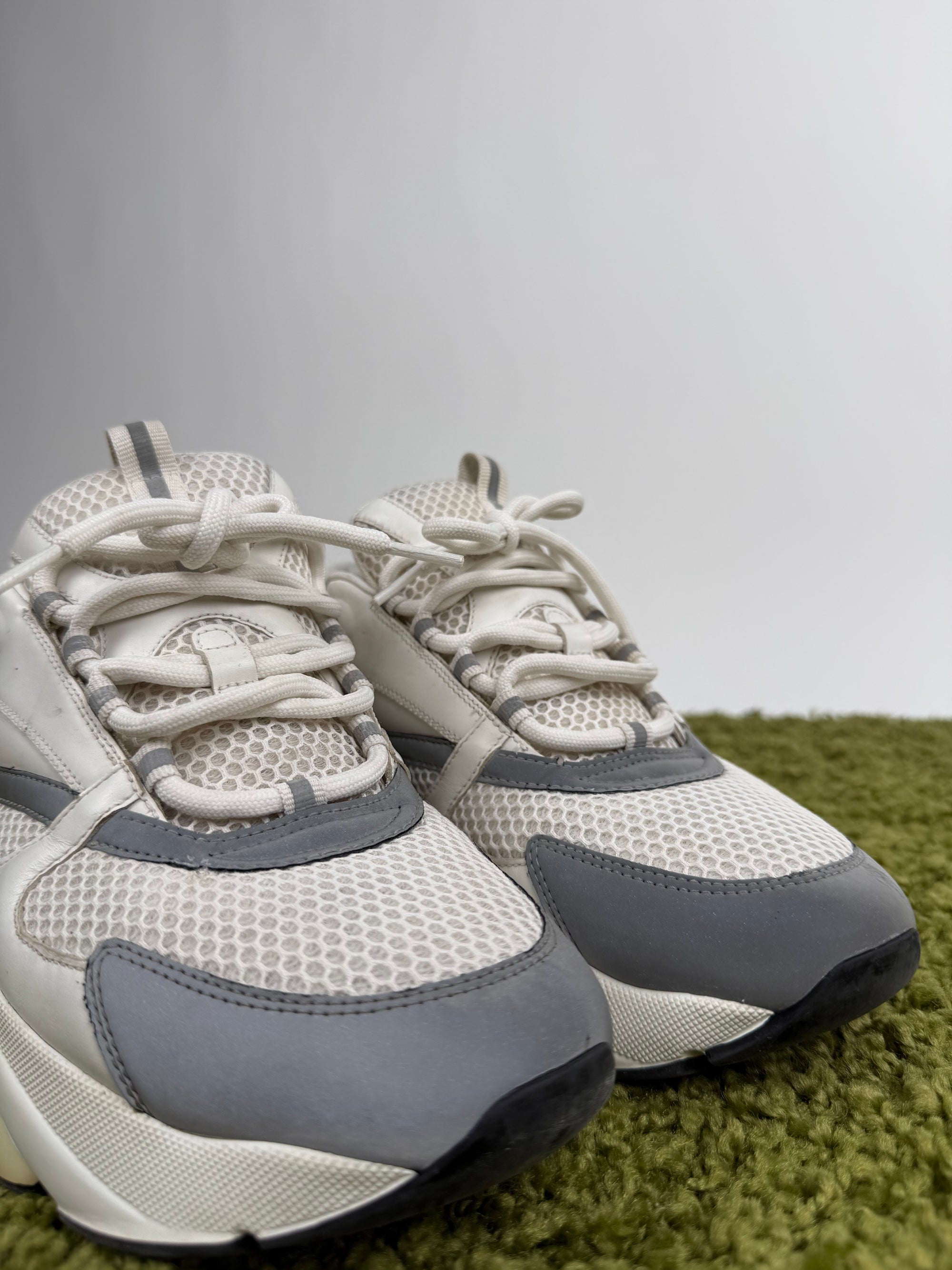 Dior Sneaker B22 45