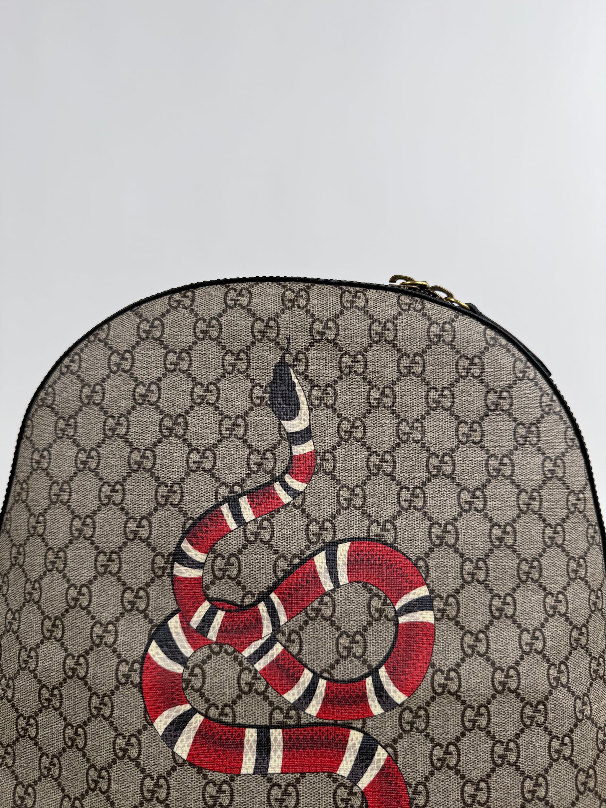 Zaino Gucci KingSnake