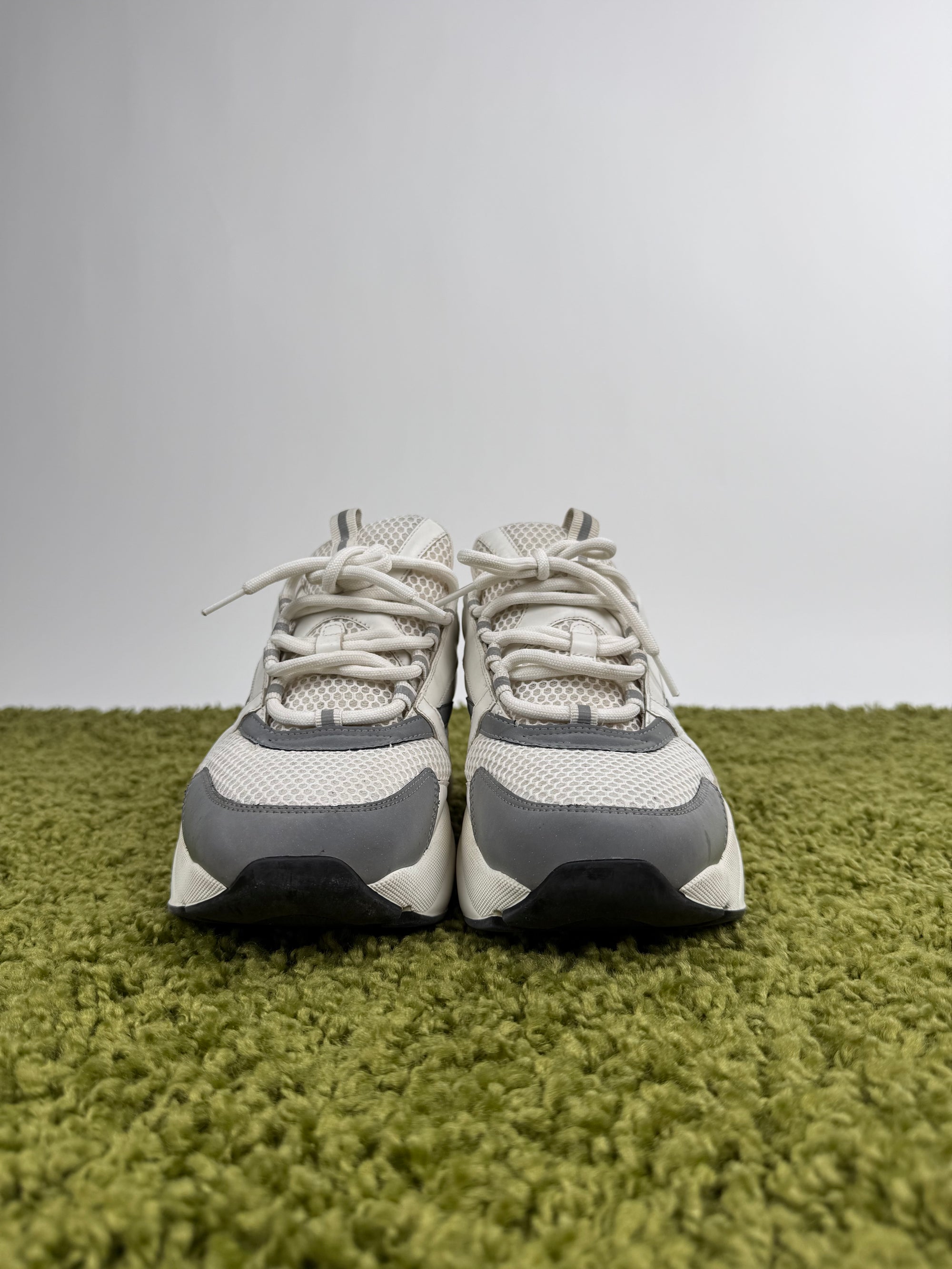 Dior Sneaker B22 45