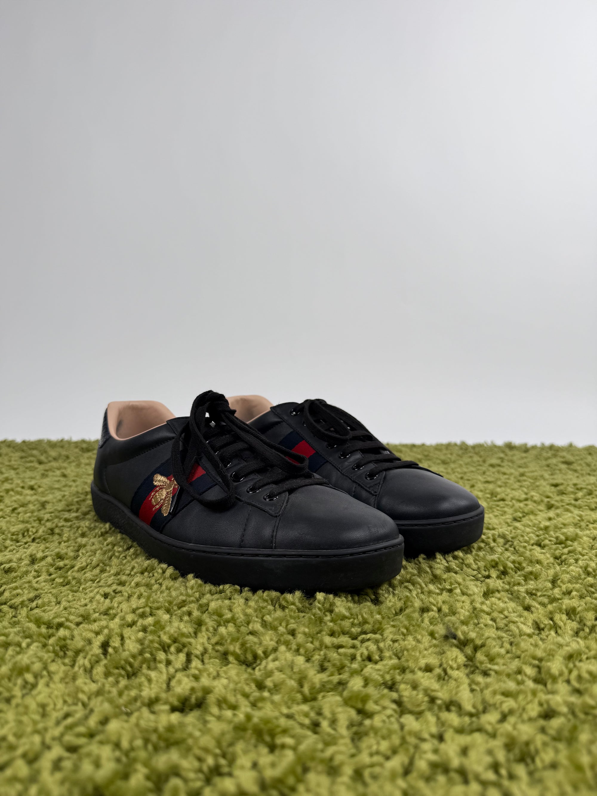 Gucci Ace 45 veste 45.5